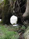 SX22038 Stream flowing through tree trunk.jpg